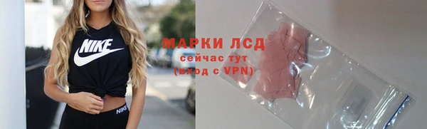 PSILOCYBIN Абаза