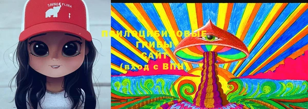 PSILOCYBIN Абаза