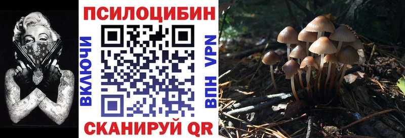Галлюциногенные грибы ЛСД где продают наркотики Емва