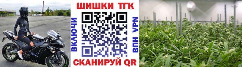 Шишки марихуана Amnesia  Емва 